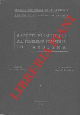 Libreria Piani