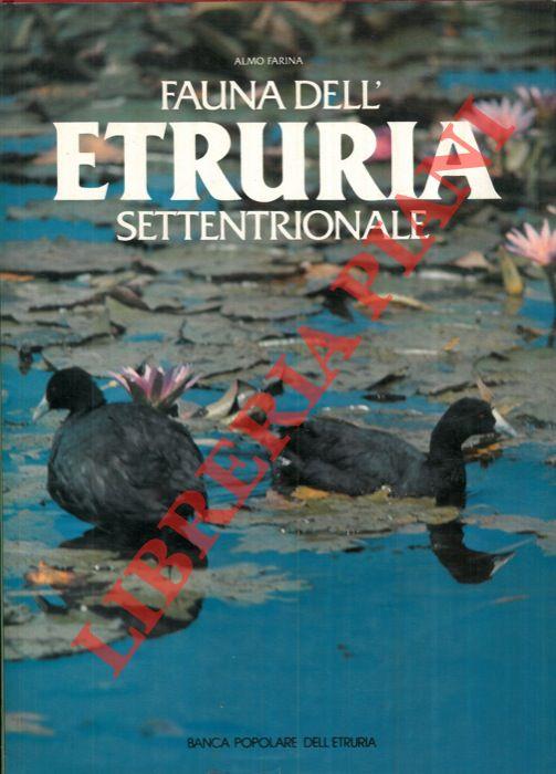 Libreria Piani