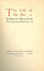 The life of the bee
