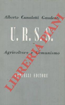 Libreria Piani