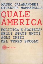 Quale America. Politica e società negli Stati Uniti agli inizi del terzo secolo