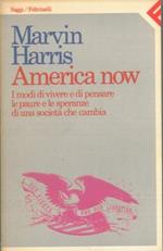 America now. I modi di vivere e di pensare, le paure e le speranze di una società che cambia