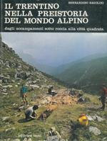 Il Trentino nella preistoria del mondo alpino. Dagli accampamenti sotto roccia alla città quadrata