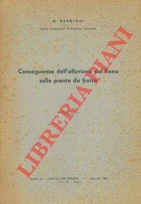 Libreria Piani