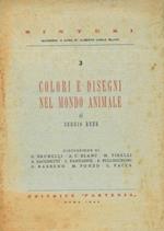 Colori e disegni nel mondo animale
