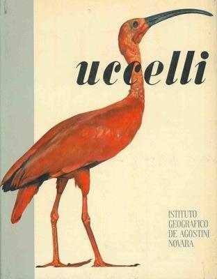 Uccelli - Marcel Belvianes - copertina