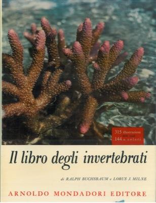 Il libro degli invertebrati - Ralph Buchsbaum - copertina
