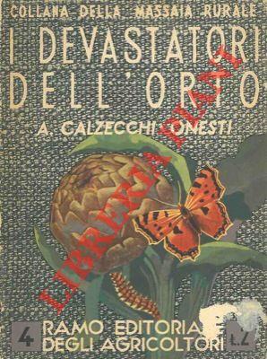 Libreria Piani