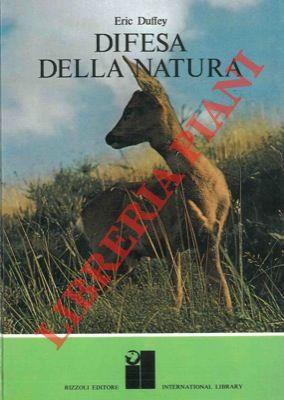 Libreria Piani