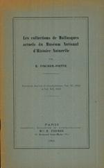 Les collections de Mollusques actuels du Museum National d'Histoire Naturelle