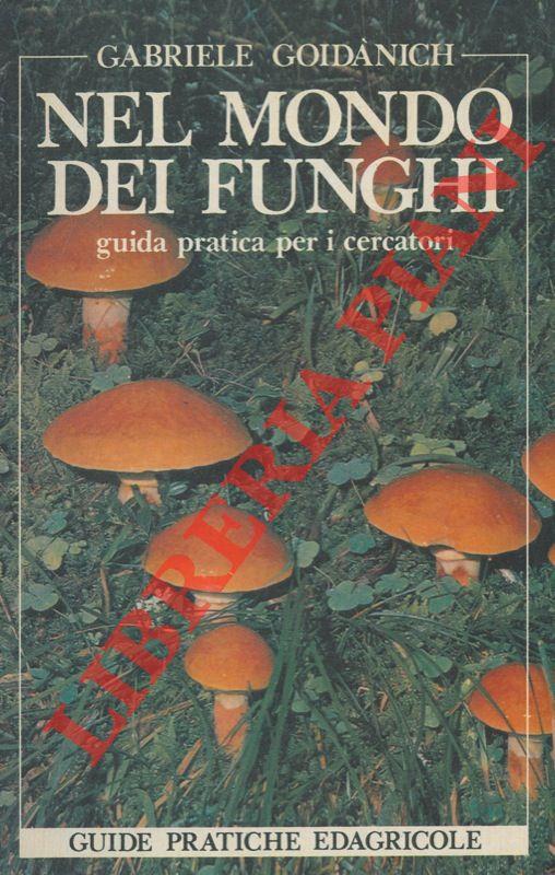 Libreria Piani