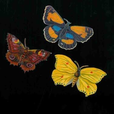 Farfalle - copertina