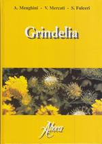 Grindelia