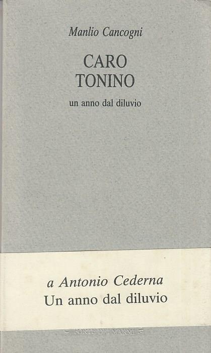 Caro Tonino. Un anno dal diluvio - Manlio Cancogni - copertina