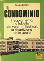 Il condominio. Liti e controversie