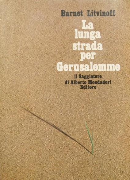 La lunga strada per Gerusalemme. Nascita dell Stato di Israele - Barnet Litvinoff - copertina