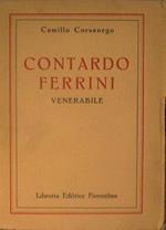 Contardo Ferrini. Venerabile