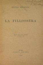 La fillossera