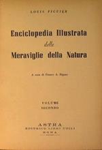 Encoclopedia illustrata delle meraviglie della natura