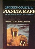 Alle radici degli oceani