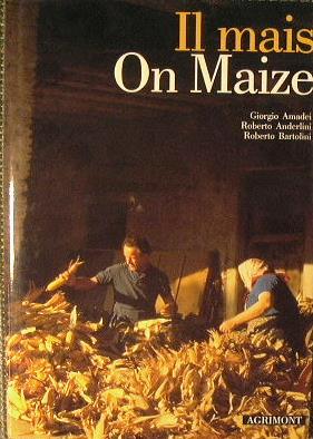 Antica Libreria Srl