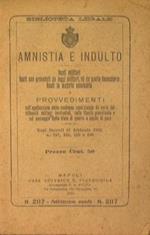 Amnistia e indulto. Reati militari. Reati non preveduti da leggi militari, né da quelle finanziarie. Reati in materia annuaria e provvedimenti sull'applicazione della condanna condizionale da parte dei tribunali militari territoriali, sulla libertà p