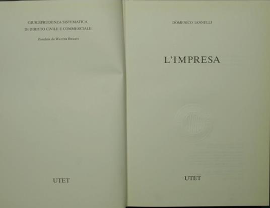 L' impresa - Domenico Iannelli - copertina