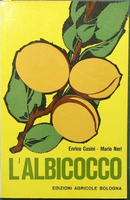 albicocco L' - Enrico Casini - copertina