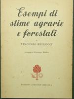 Esempi di stime agrarie e forestali