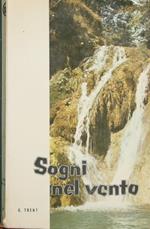 Sogni nel vento. Romanzo