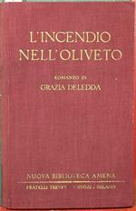 L' incendio nell'oliveto. Romanzo