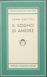Il sogno di Amédée. Romanzo