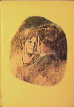 Infermiera detective - Delphine C. Lyons - copertina