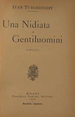 Una nidiata di Gentiluomini