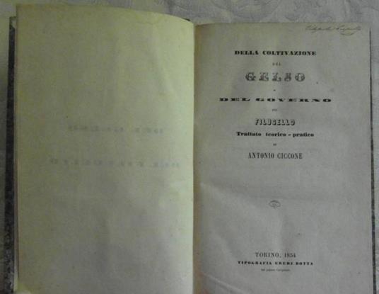 Della coltivazione del gelso e del governo del filugello. Trattato teorico pratico - Antonio Ciccone - copertina