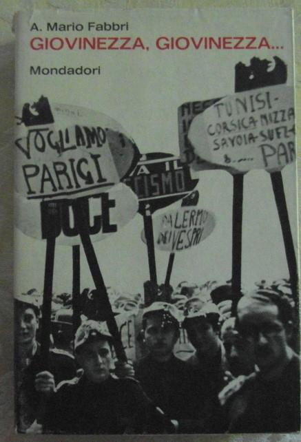 Giovinezza, giovinezza - Luigi Preti - copertina