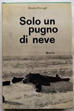 Solo Un Pugno Di Neve