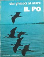 Dai ghiacci al mare. Il Po