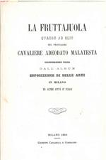 La fruttajuola. Quadro ad olio del professore Cavaliere Adeodato Malatesta. Illustrazione tolta dall'album Esposizione di bellle arti in Milano ed altre città d'Italia