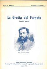 La Grotta del Farneto. Breve guida