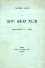 Sul nuovo sistema Sulzer di distribuzione del vapore. Dissertazione presentata alla Commissione esaminatrice della R. Scuola d'Applicazione per gl'ingegneri in Torino per conseguire la laurea di ingegneria civile