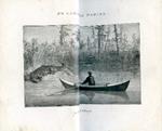 En canot de papier de Québec au Golfe du Mexique. 2500 milles a l'aviron. Traduit par Hephell. Ouvrage orné de cartes et de gravures