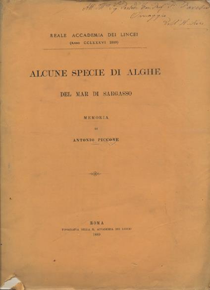 Nuove alghe del viaggio di circumnavigazione della 'Vettor Pisanì. SEGUE- Alcune specie di alghe del Mar di Sargasso. SEGUE - Manipolo di alghe del Mar Rosso - Antonio Piccone - copertina