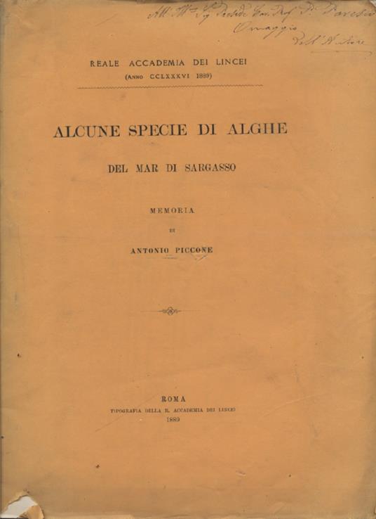 Nuove alghe del viaggio di circumnavigazione della 'Vettor Pisanì. SEGUE- Alcune specie di alghe del Mar di Sargasso. SEGUE - Manipolo di alghe del Mar Rosso - Antonio Piccone - copertina