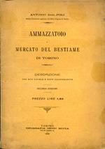 Ammazzatoio e mercato del bestiame di Torino. Descrizione con due tavole e note illustrative