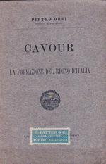 Cavour e la formazione del Regno d'Italia