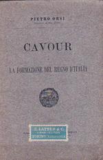 Cavour e la formazione del Regno d'Italia