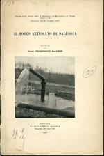 Il pozzo artesiano di Saluggia. Nota. Estratto dagli Annali della R. Accademia di Agricoltura di Torino, volume LVIII. Adunanza del 19 dicembre 1915