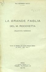 La grande faglia del M. Rocchetta (Appennino bobbiese)