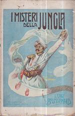 I misteri della jungla. Romanzo d'avventure